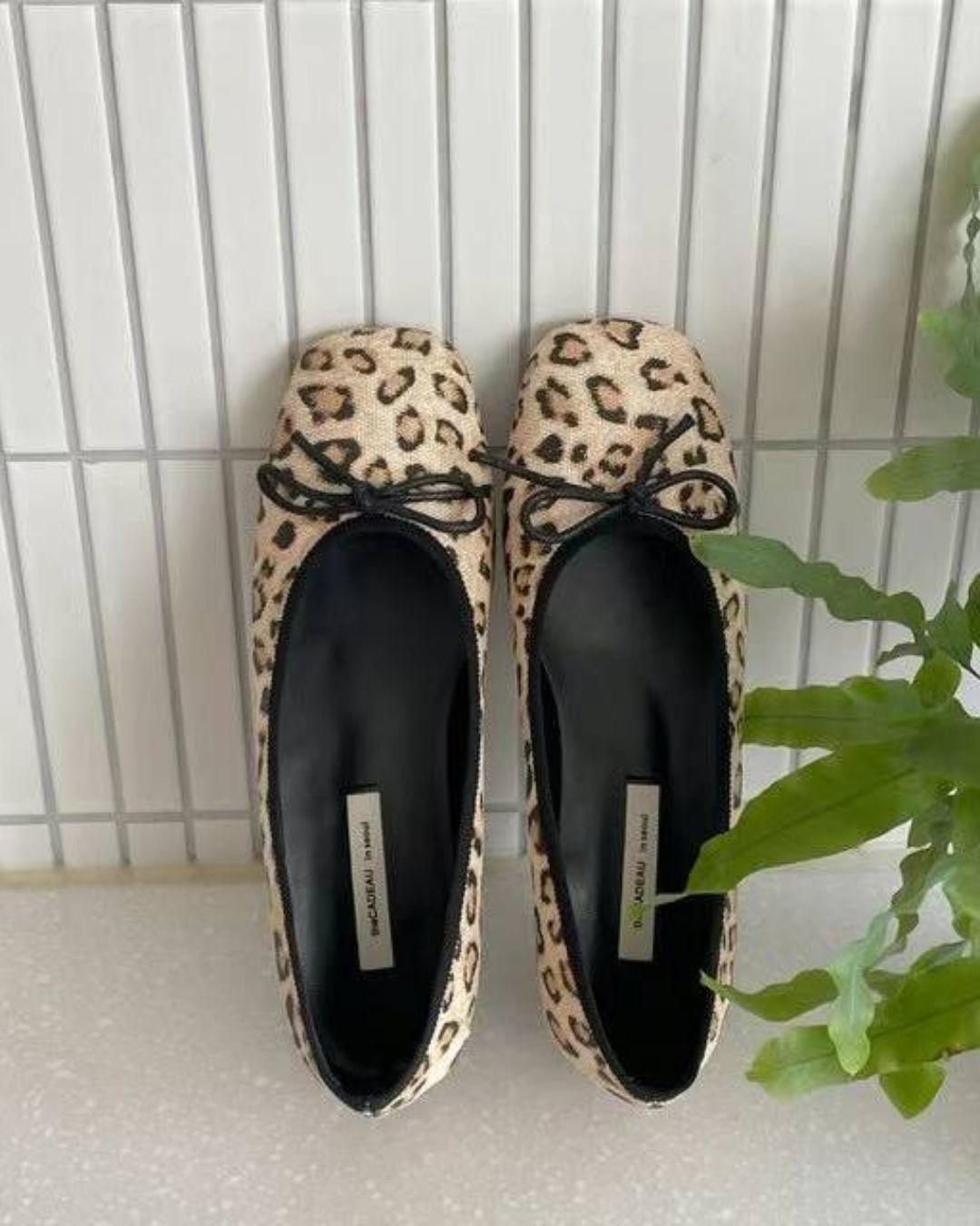 Square Toe Ballet Flat