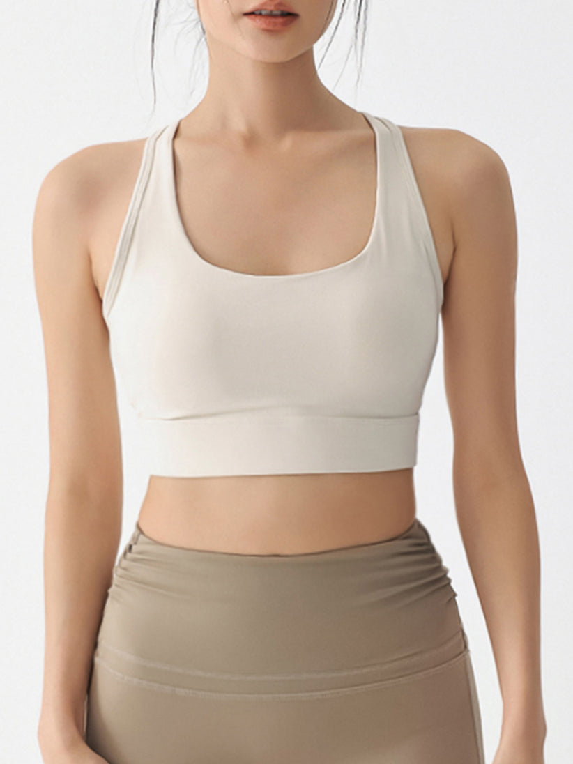 Evo Hook Bra Top